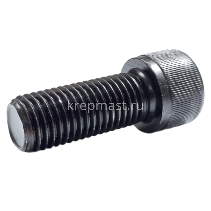 Винт с внутр.шестигранником 20 х 50 черный кл.пр.12,9 п/р DIN912