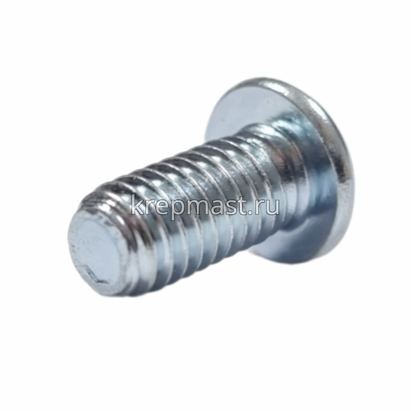 Винт ISO 7380 с внутр.шестигр. 6х 12 10,9