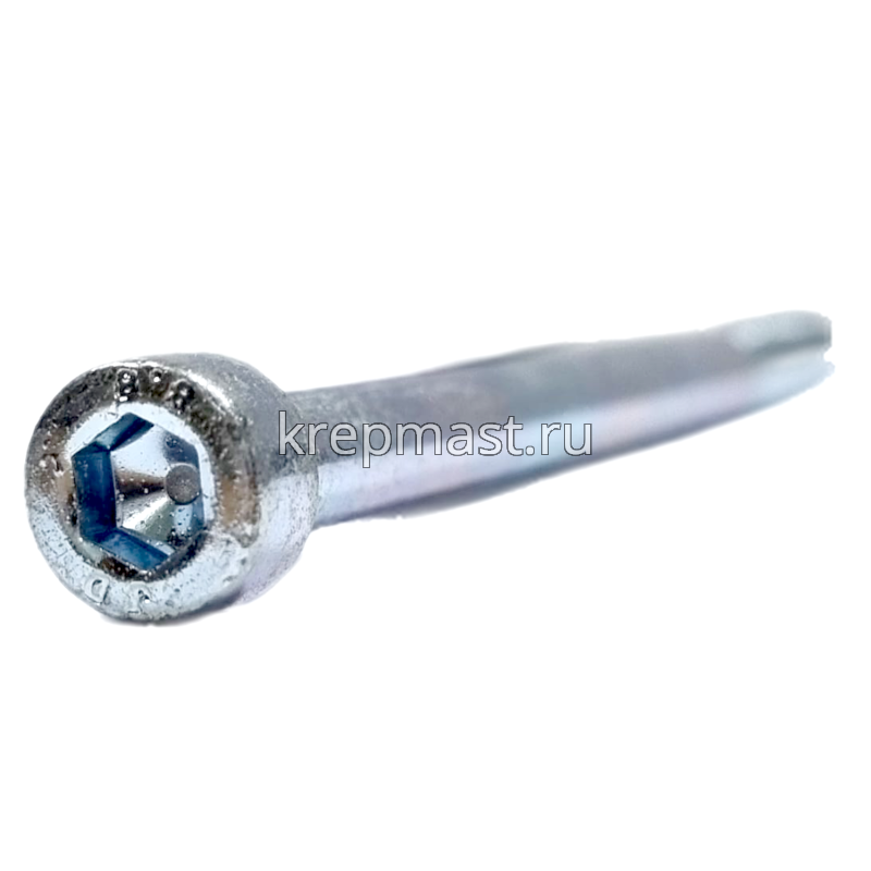 Винт с внутр.шестигранником 6 х100 DIN 912