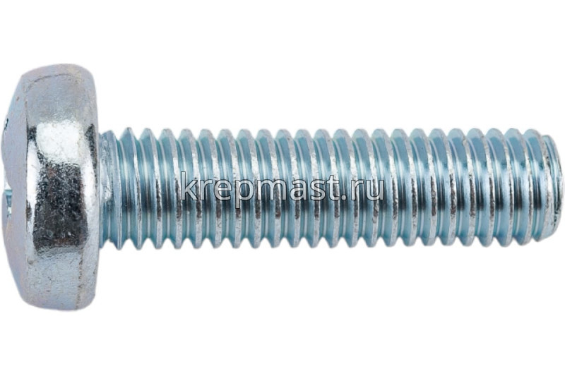 Винт п/цил 8.0х30 DIN 7985