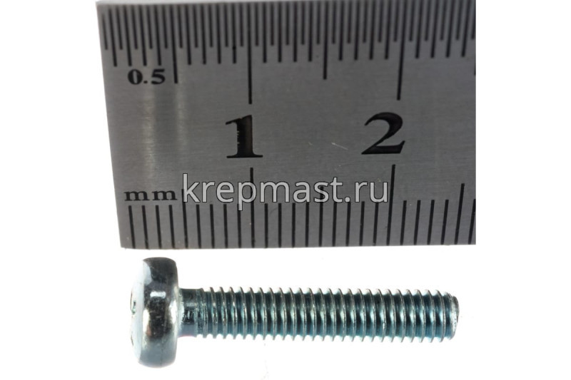 Винт п/цил 4,0х20(22) DIN 7985