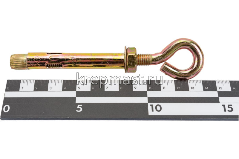 Анкерный болт с кольцом 12х100